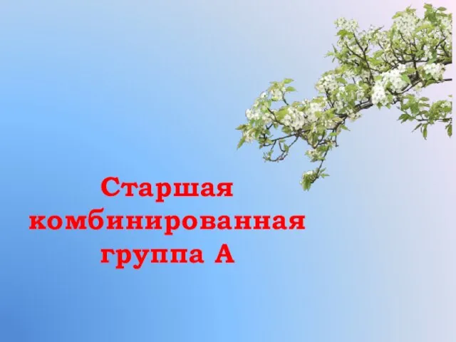 Старшая комбинированная группа А