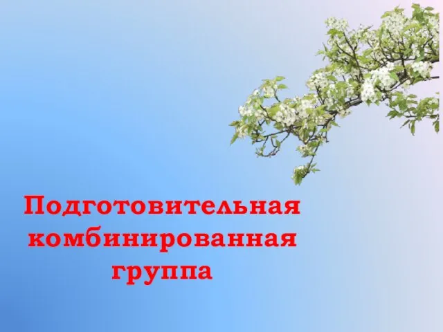 Подготовительная комбинированная группа