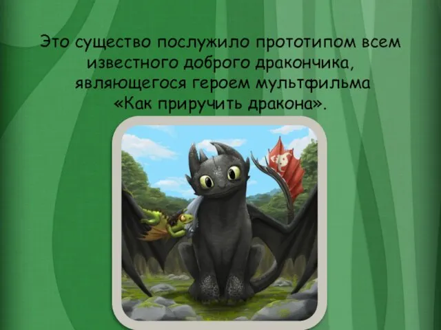 Это существо послужило прототипом всем известного доброго дракончика, являющегося героем мультфильма «Как приручить дракона».