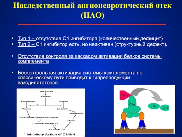 Наследственный ангионевротический отек (НАО) Тип 1 – отсутствие С1 ингибитора (количественный дефицит)