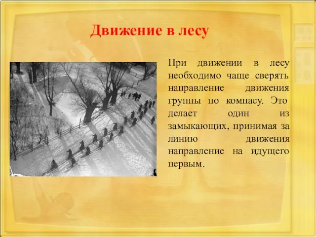 Движение в лесу При движении в лесу необходимо чаще сверять направление движения