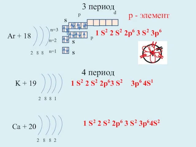 3 период Ar + 18 2 8 8 n=1 n=2 K +