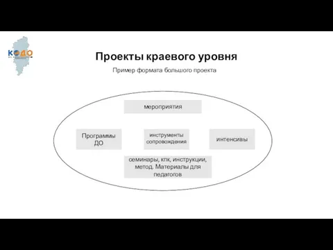 Проекты краевого уровня мероприятия Программы ДО инструменты сопровождения интенсивы семинары, кпк, инструкции,