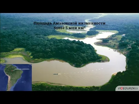 Площадь Амазонской низменности более 5 млн км²