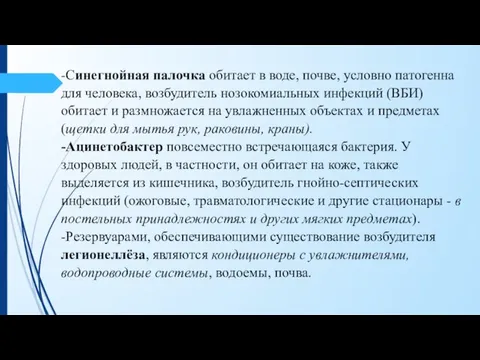 -Синегнойная палочка обитает в воде, почве, условно патогенна для человека, возбудитель нозокомиальных