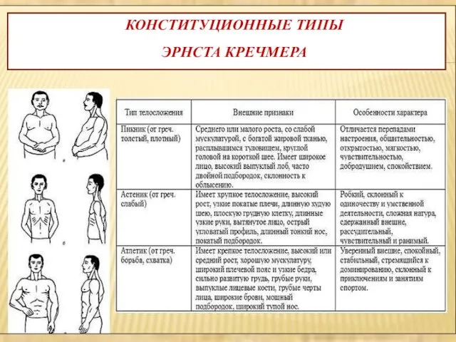 КОНСТИТУЦИОННЫЕ ТИПЫ ЭРНСТА КРЕЧМЕРА