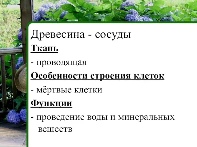 Ткань - проводящая Особенности строения клеток - мёртвые клетки Функции - проведение