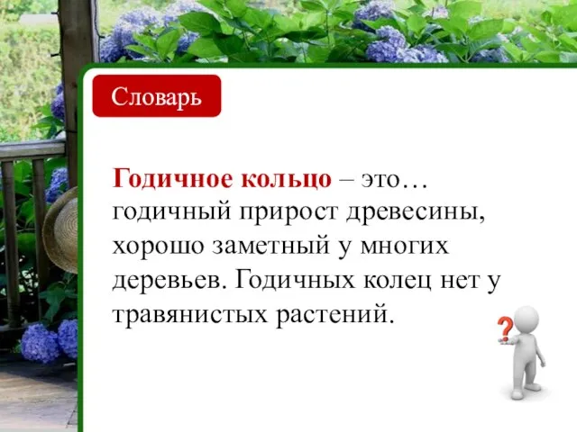 Словарь Годичное кольцо – это… годичный прирост древесины, хорошо заметный у многих