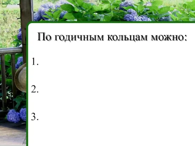 По годичным кольцам можно: 1. 2. 3.