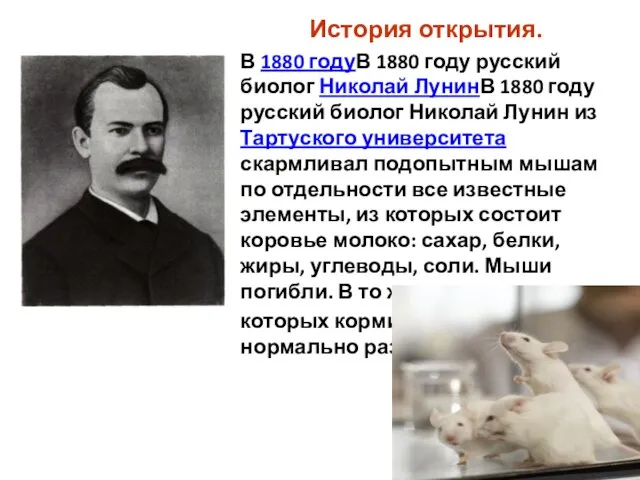 История открытия. В 1880 годуВ 1880 году русский биолог Николай ЛунинВ 1880