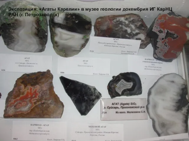 Экспозиция: «Агаты Карелии» в музее геологии докембрия ИГ КарНЦ РАН (г. Петрозаводск)