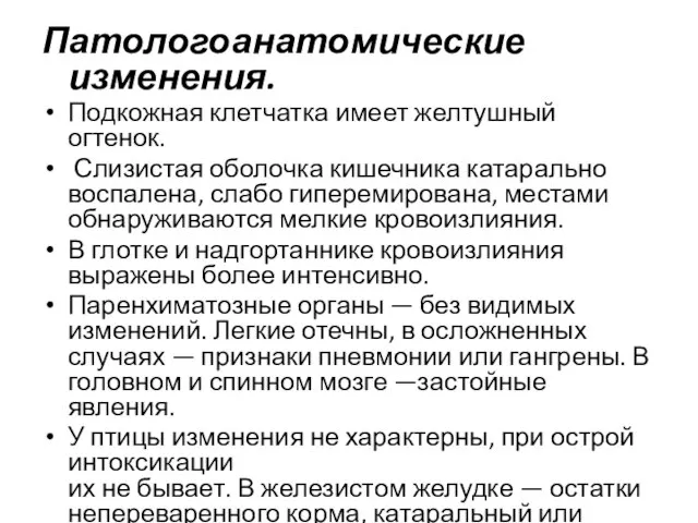 Патологоанатомические изменения. Подкожная клетчатка имеет желтушный огтенок. Слизистая оболочка кишечника катарально воспалена,