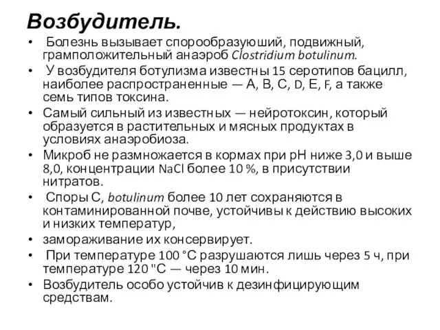 Возбудитель. Болезнь вызывает спорообразуюший, подвижный, грамположительный анаэроб Clostridium botulinum. У возбудителя ботулизма