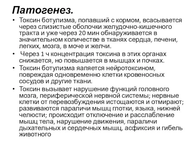 Патогенез. Токсин ботулизма, попавший с кормом, всасывается через слизистые оболочки желудочно-кишечного тракта