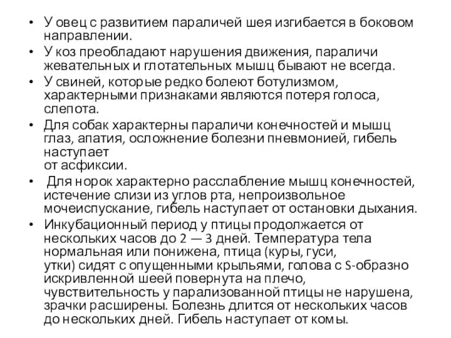 У овец с развитием параличей шея изгибается в боковом направлении. У коз