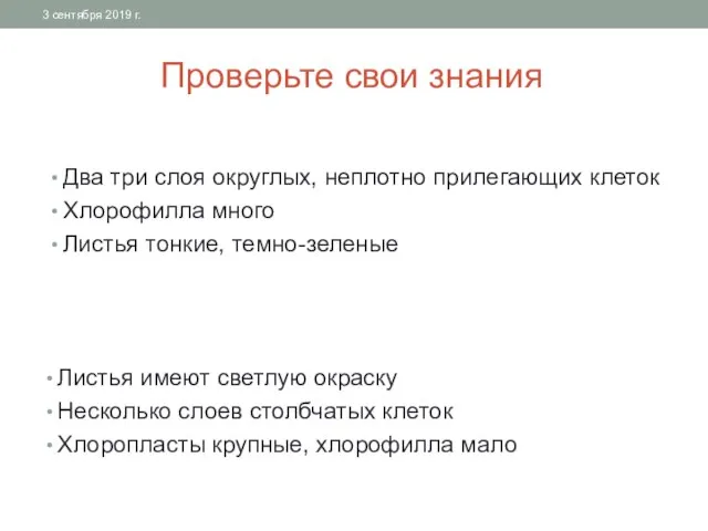 Проверьте свои знания Два три слоя округлых, неплотно прилегающих клеток Хлорофилла много