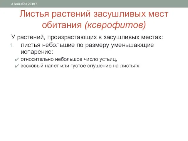 Листья растений засушливых мест обитания (ксерофитов) У растений, произрастающих в засушливых местах: