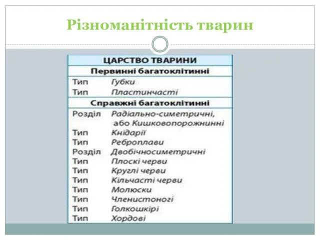 Різноманітність тварин