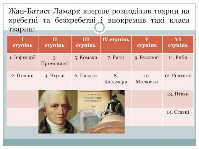 Жан-Батист Ламарк вперше розподілив тварин на хребетні та безхребетні і виокремив такі класи тварин: