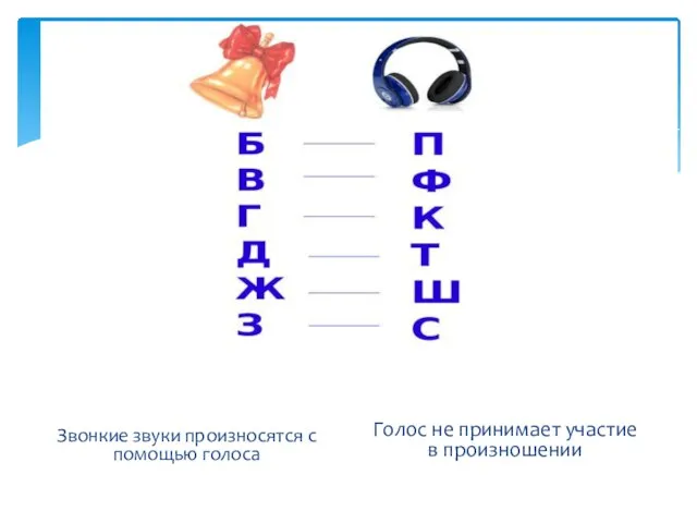 Звонкие звуки произносятся с помощью голоса Голос не принимает участие в произношении