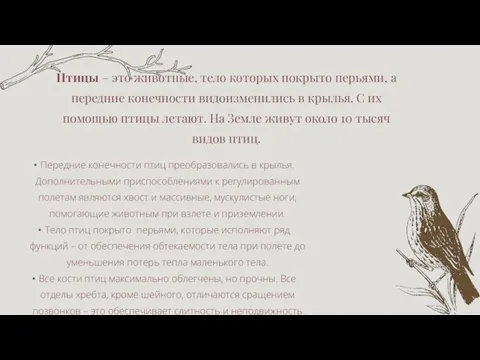 Птицы – это животные, тело которых покрыто перьями, а передние конечности видоизменились