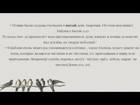 Птицы были созданы Господом в пятый день творения. Об этом нам пишет