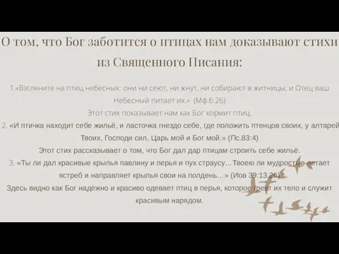 О том, что Бог заботится о птицах нам доказывают стихи из Священного