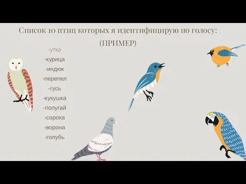 Список 10 птиц которых я идентифицирую по голосу: (ПРИМЕР) -утка -курица -индюк