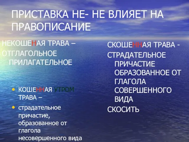 ПРИСТАВКА НЕ- НЕ ВЛИЯЕТ НА ПРАВОПИСАНИЕ КОШЕННАЯ УТРОМ ТРАВА – страдательное причастие,