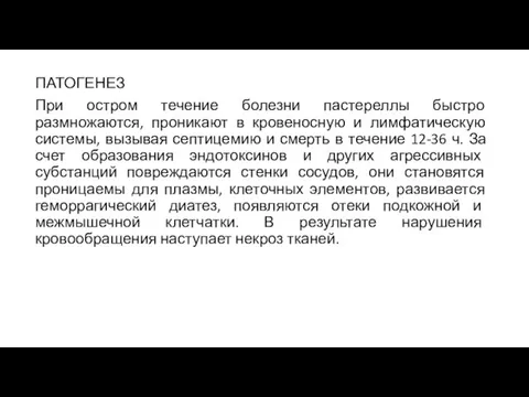 ПАТОГЕНЕЗ При остром течение болезни пастереллы быстро размножаются, проникают в кровеносную и