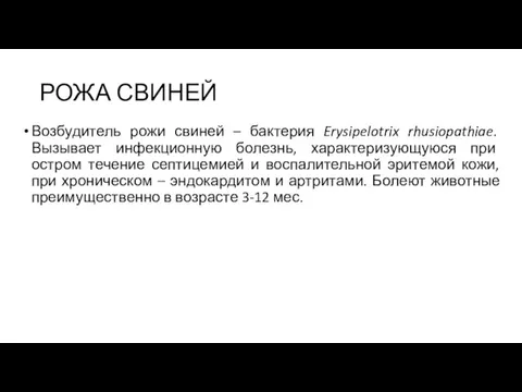 РОЖА СВИНЕЙ Возбудитель рожи свиней – бактерия Erysipelotrix rhusiopathiae. Вызывает инфекционную болезнь,