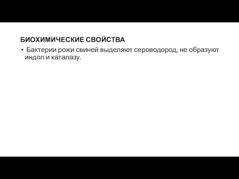 БИОХИМИЧЕСКИЕ СВОЙСТВА Бактерии рожи свиней выделяют сероводород, не образуют индол и каталазу.