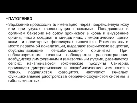 ПАТОГЕНЕЗ Заражение происходит алиментарно, через поврежденную кожу или при укусах кровососущих насекомых.