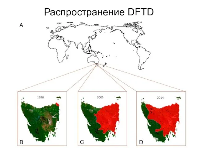 Распространение DFTD