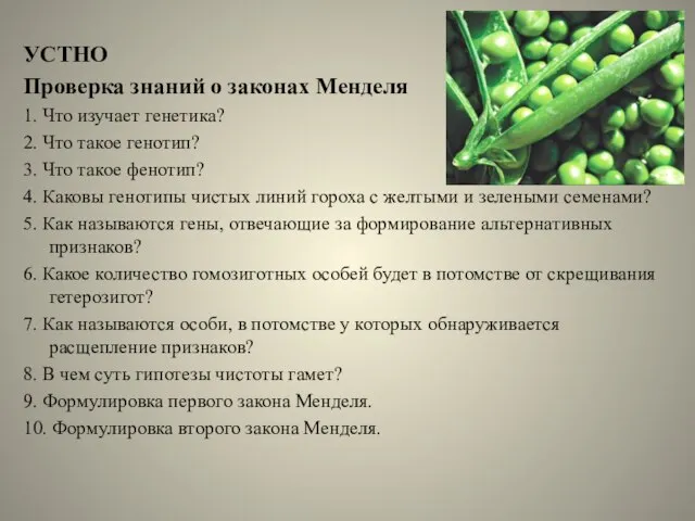 УСТНО Проверка знаний о законах Менделя 1. Что изучает генетика? 2. Что