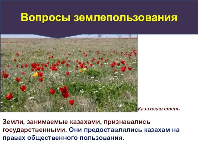 Казахская степь Земли, занимаемые казахами, признавались государственными. Они предоставлялись казахам на правах общественного пользования. Вопросы землепользования