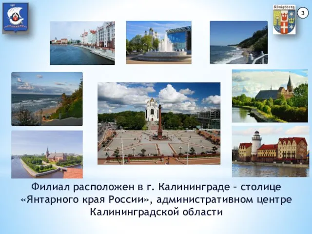 Филиал расположен в г. Калининграде – столице «Янтарного края России», административном центре Калининградской области