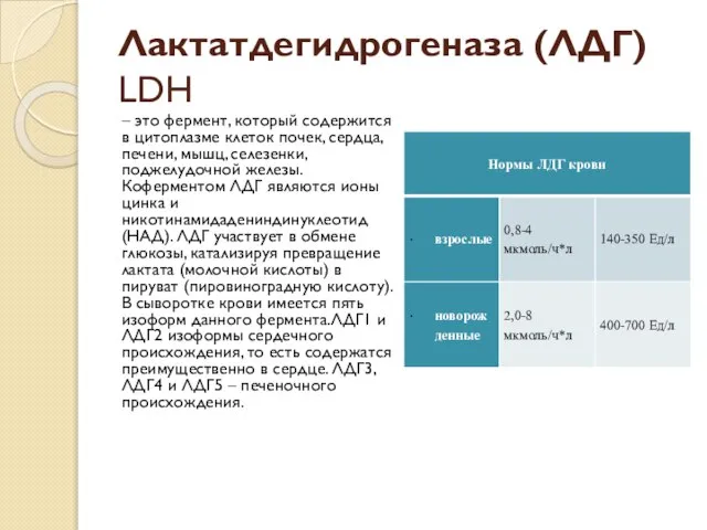 Лактатдегидрогеназа (ЛДГ) LDH – это фермент, который содержится в цитоплазме клеток почек,