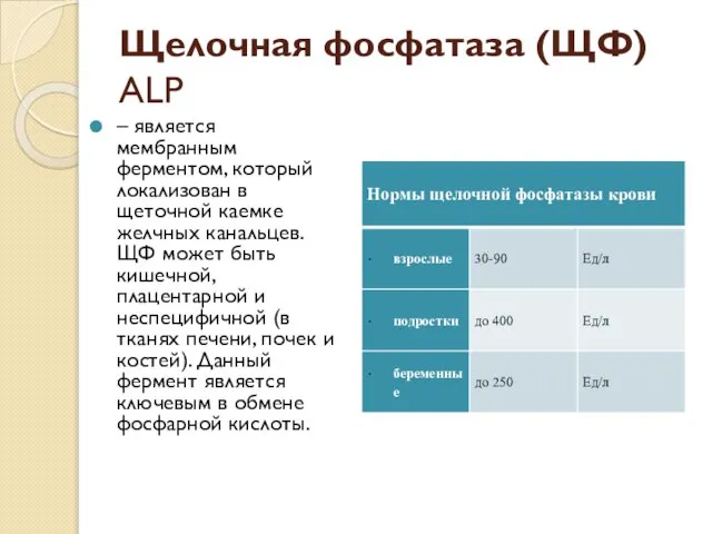 Щелочная фосфатаза (ЩФ) ALP – является мембранным ферментом, который локализован в щеточной