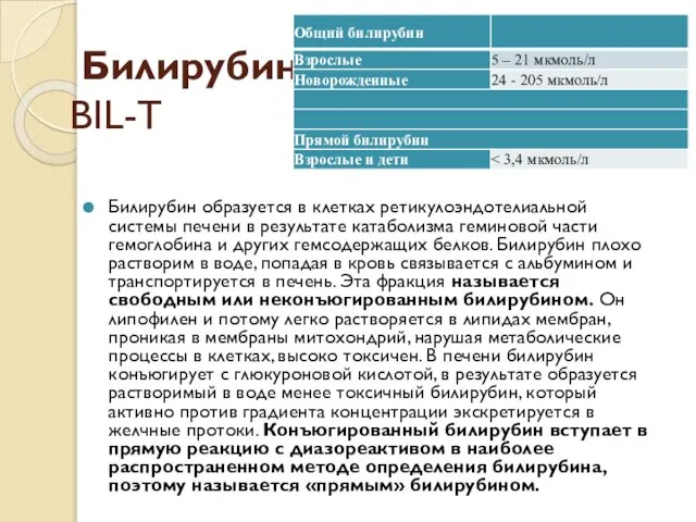 Билирубин BIL-T Билирубин образуется в клетках ретикулоэндотелиальной системы печени в результате катаболизма