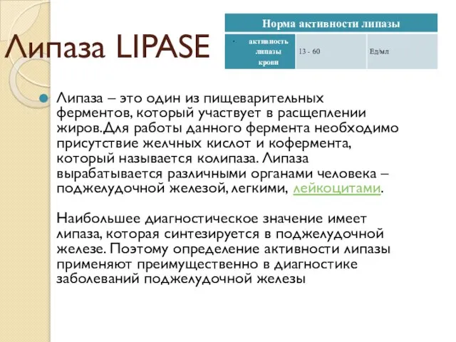 Липаза LIPASE Липаза – это один из пищеварительных ферментов, который участвует в