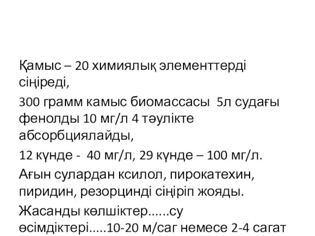 Қамыс – 20 химиялық элементтерді сіңіреді, 300 грамм камыс биомассасы 5л судағы