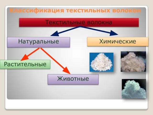 Классификация текстильных волокон Текстильные волокна Натуральные Химические Растительные Животные