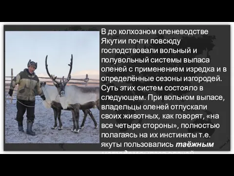 В до колхозном оленеводстве Якутии почти повсюду господствовали вольный и полувольный системы