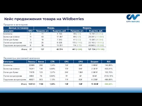 Кейс продвижения товара на Wildberries Параметры рекламной кампании Продажи в категориях