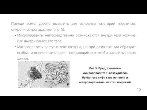 Прежде всего, удобно выделить две основных категории паразитов: микро- и макропаразиты (рис.