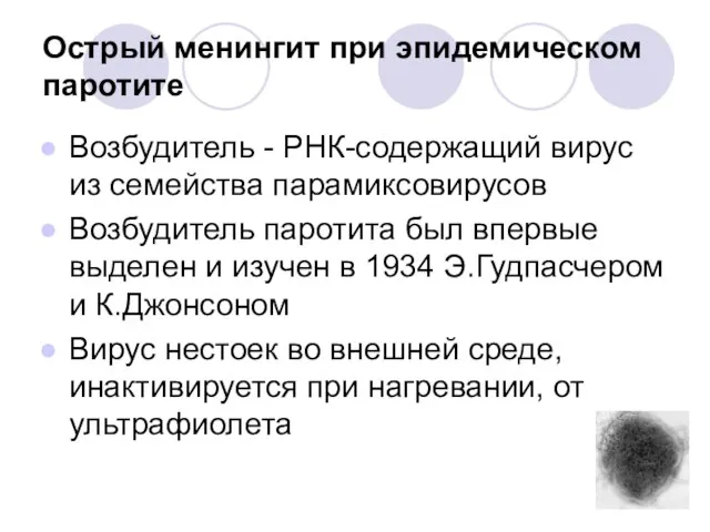 Острый менингит при эпидемическом паротите Возбудитель - РНК-содержащий вирус из семейства парамиксовирусов