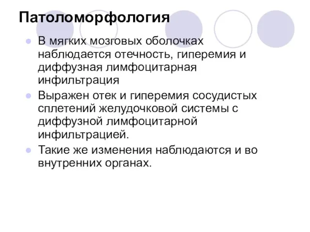 Патоломорфология В мягких мозговых оболочках наблюдается отечность, гиперемия и диффузная лимфоцитарная инфильтрация