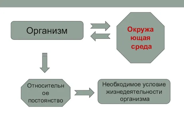 Организм Окружающая среда Относительное постоянство Необходимое условие жизнедеятельности организма