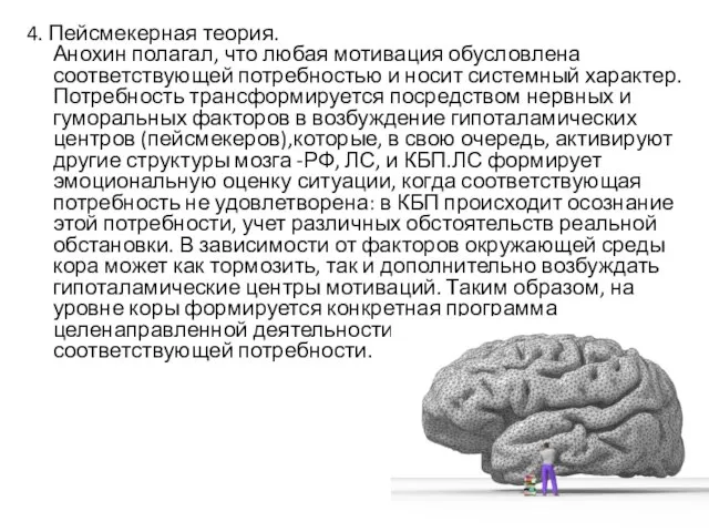 4. Пейсмекерная теория. Анохин полагал, что любая мотивация обусловлена соответствующей потребностью и